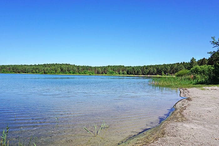 Jezioro Drzęczno (Drzeszcz)