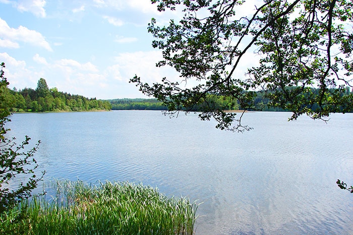 Jezioro Miłoszewskie