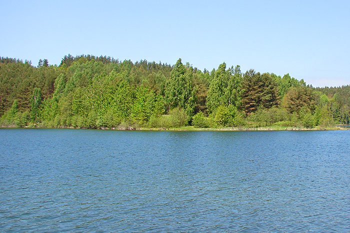 Jezioro Osuszyno (pod Kościerzyną)