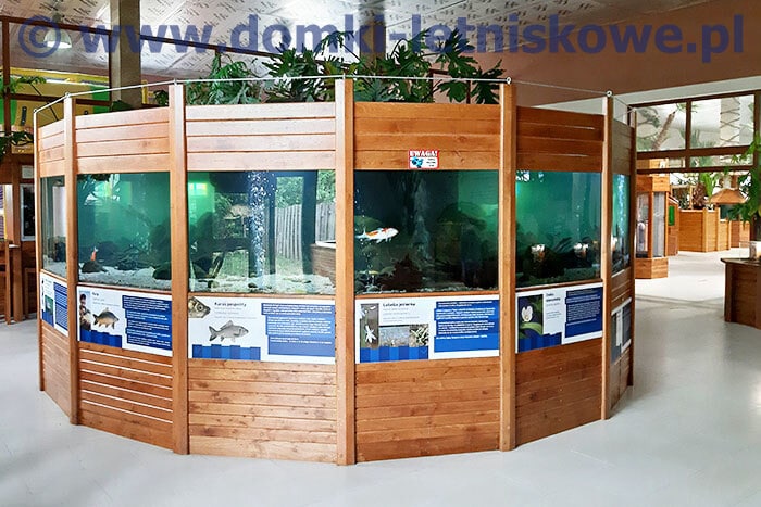 Egzotyczne ryby w Zoo w Tuchlinie