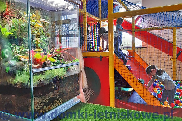 Zoo w Tuchlinie atrakcje dla najmłodszych plac zabaw