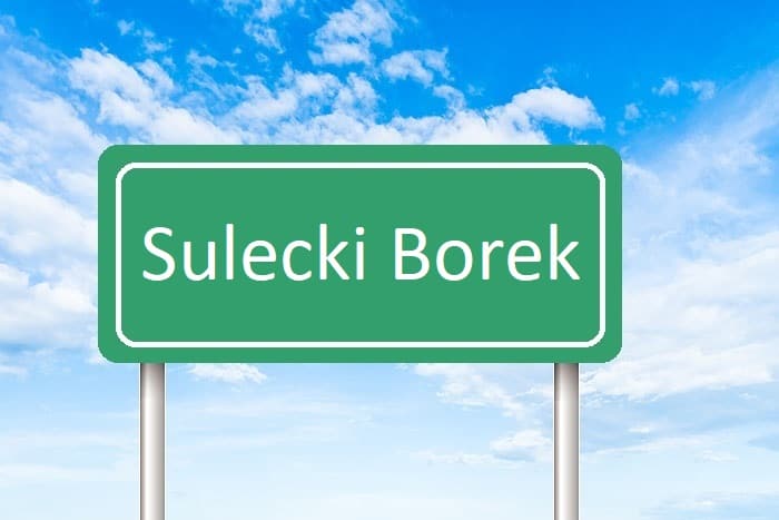 Sulecki Borek